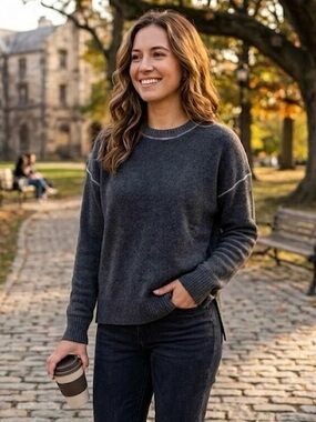 27 Miles Malibu Camille 100% Cashmere Crewneck Sweater Gray Size Small NEW